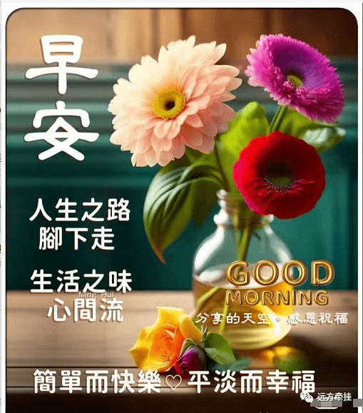 生活态度_人生感悟_问候早安的句子