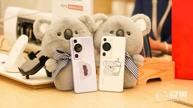 pro的后置镜头模组设计,形似可爱的考拉,被用户们昵称为"考拉摄像头"