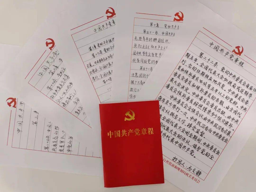 濮阳市自然资源和规划局开展"手抄党章忆初心"主题党日活动