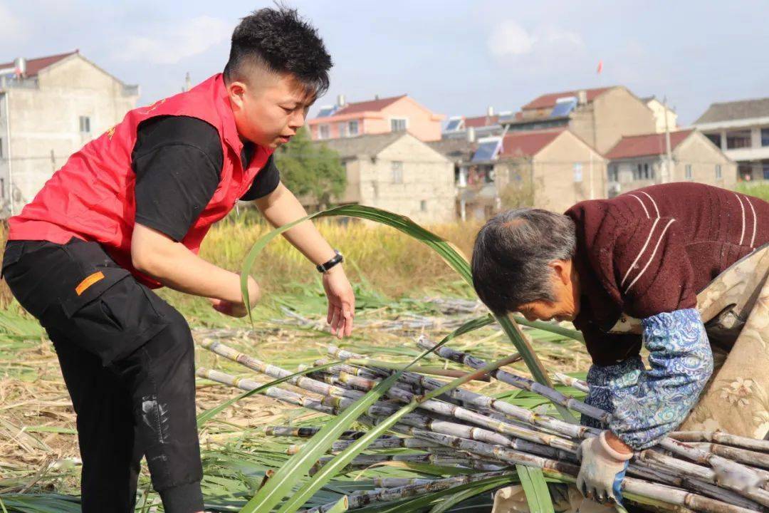 垦荒青牛奖寻访丨领略临海青年带来的乡村振兴故事~_销售_实践_杜桥镇