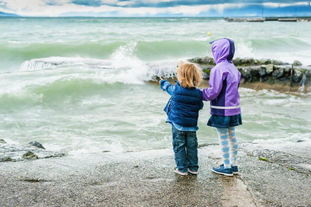 真相太扎心了_女孩_儿子_大脑