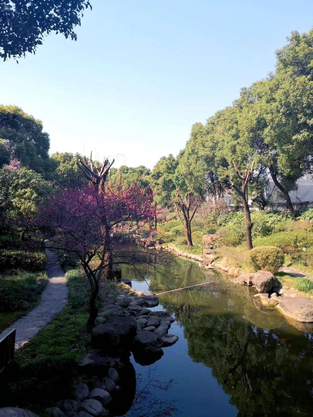 约602.78平独幢别墅丨坐北朝南,南进门