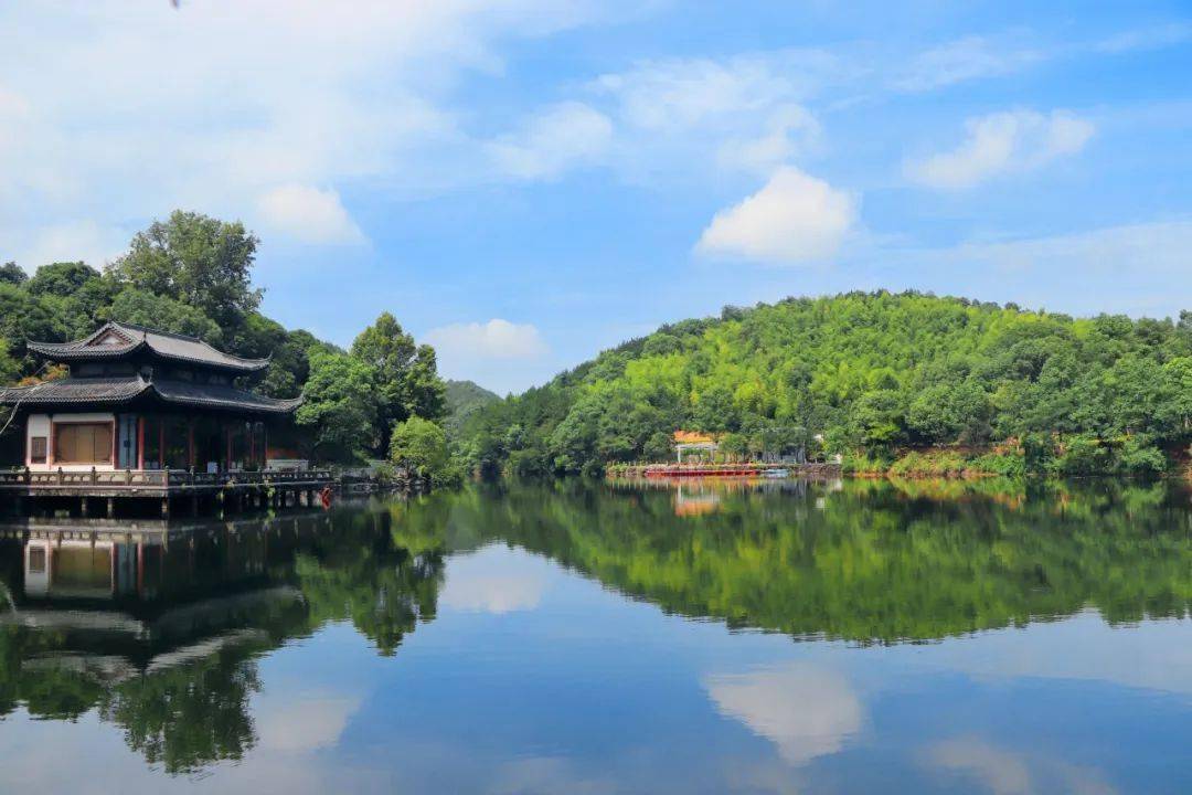 u游常山 | 在公园,我的夏天像电影_生活_明湖_绿色