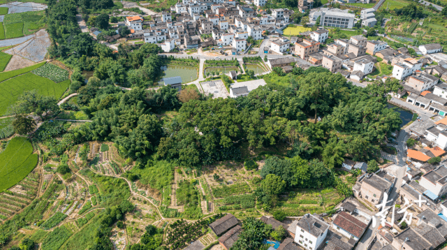 【创森】广东十大最美古树群之一——仁化董塘镇大井村古树群_乡村_建设_文化