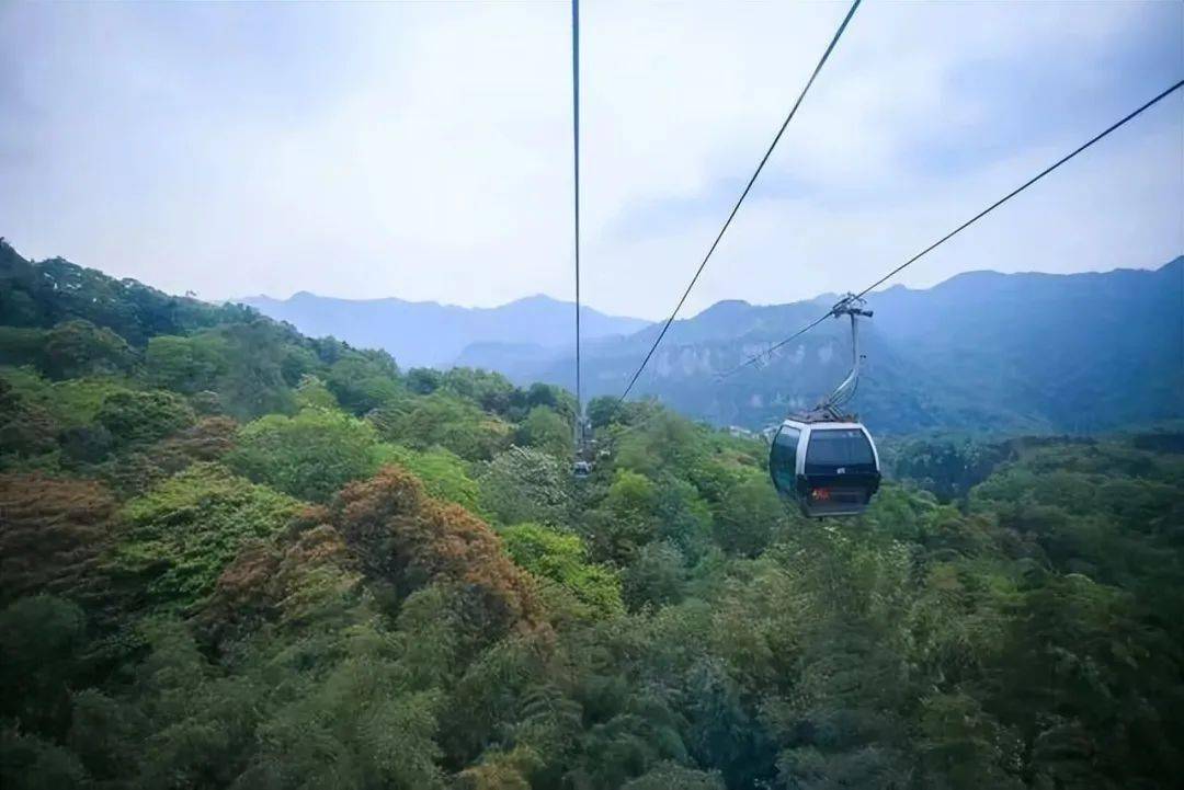 峨眉山拟新建一条索道_金顶_客运_货运