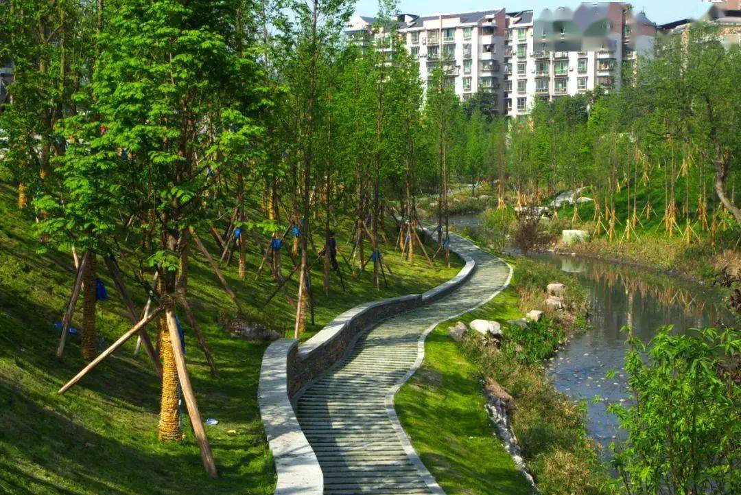 九龙坡citywalk:在步道中用脚步丈量城市厚度_重庆_文化_抗战