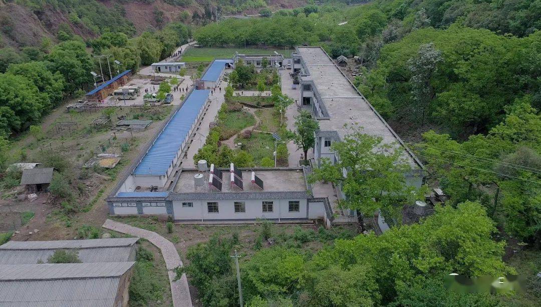 "最美科技工作者"李桂科:让"麻风村"变成"幸福村"_康复_防治_洱源县