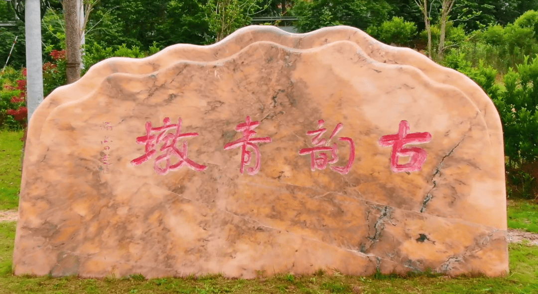 【最美农家书屋展播】南莫镇青墩村——浓浓书香沐青墩_文化_建设