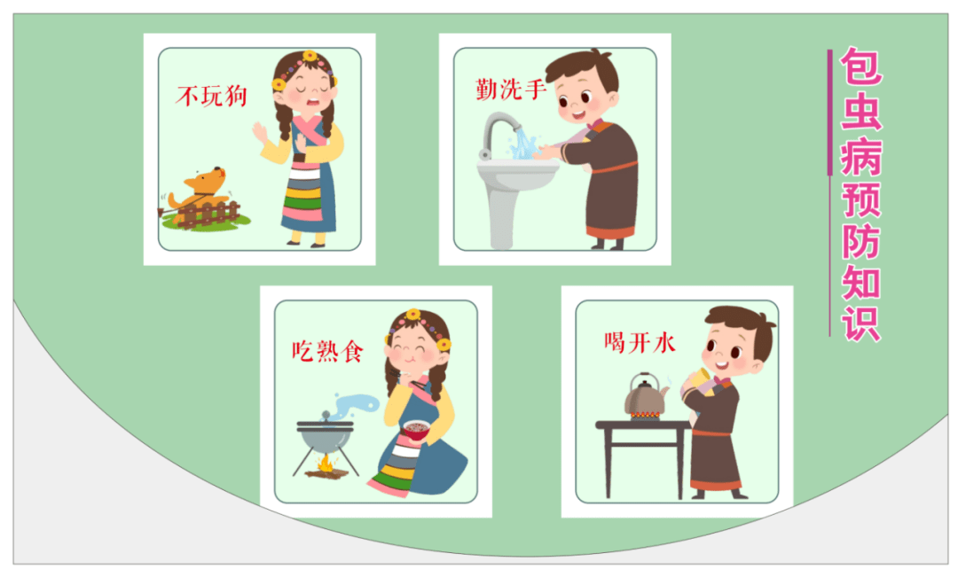 包虫病防治知识(系列二:科普篇)_虫卵_患者_动物