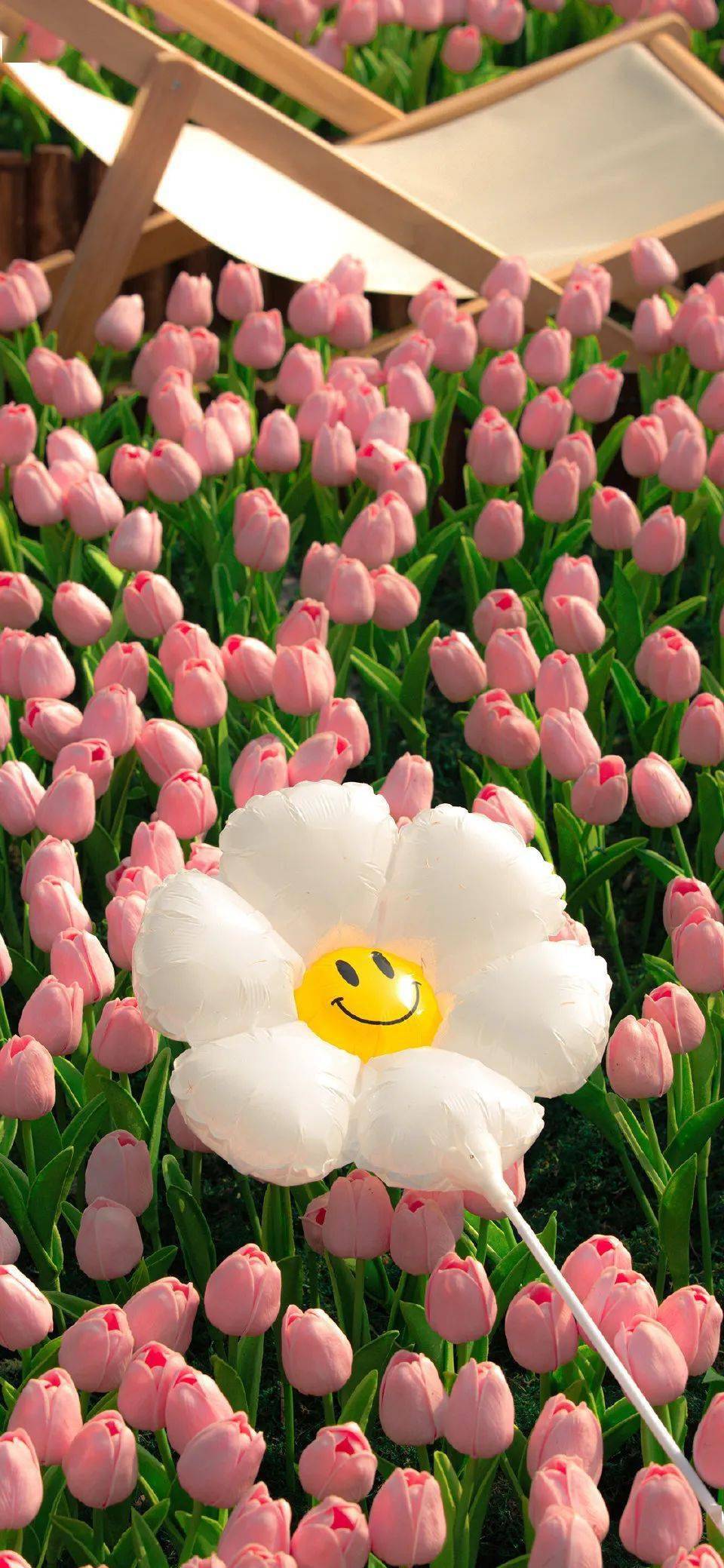 壁纸| 苹果壁纸ins高级质感