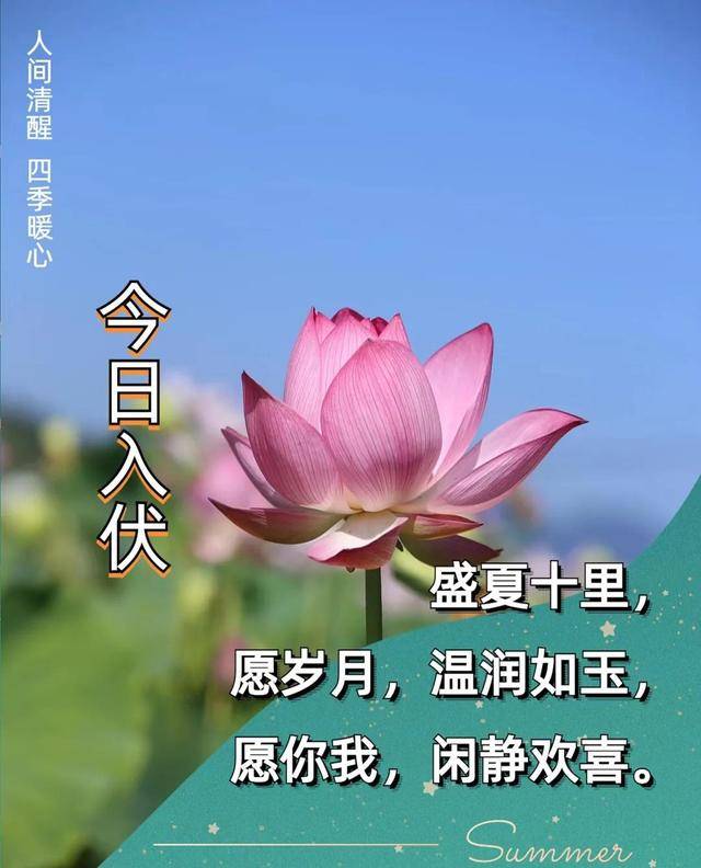7月11日入伏早上好祝福语 入伏早安问候图片 快乐度三伏 清爽乐淘淘