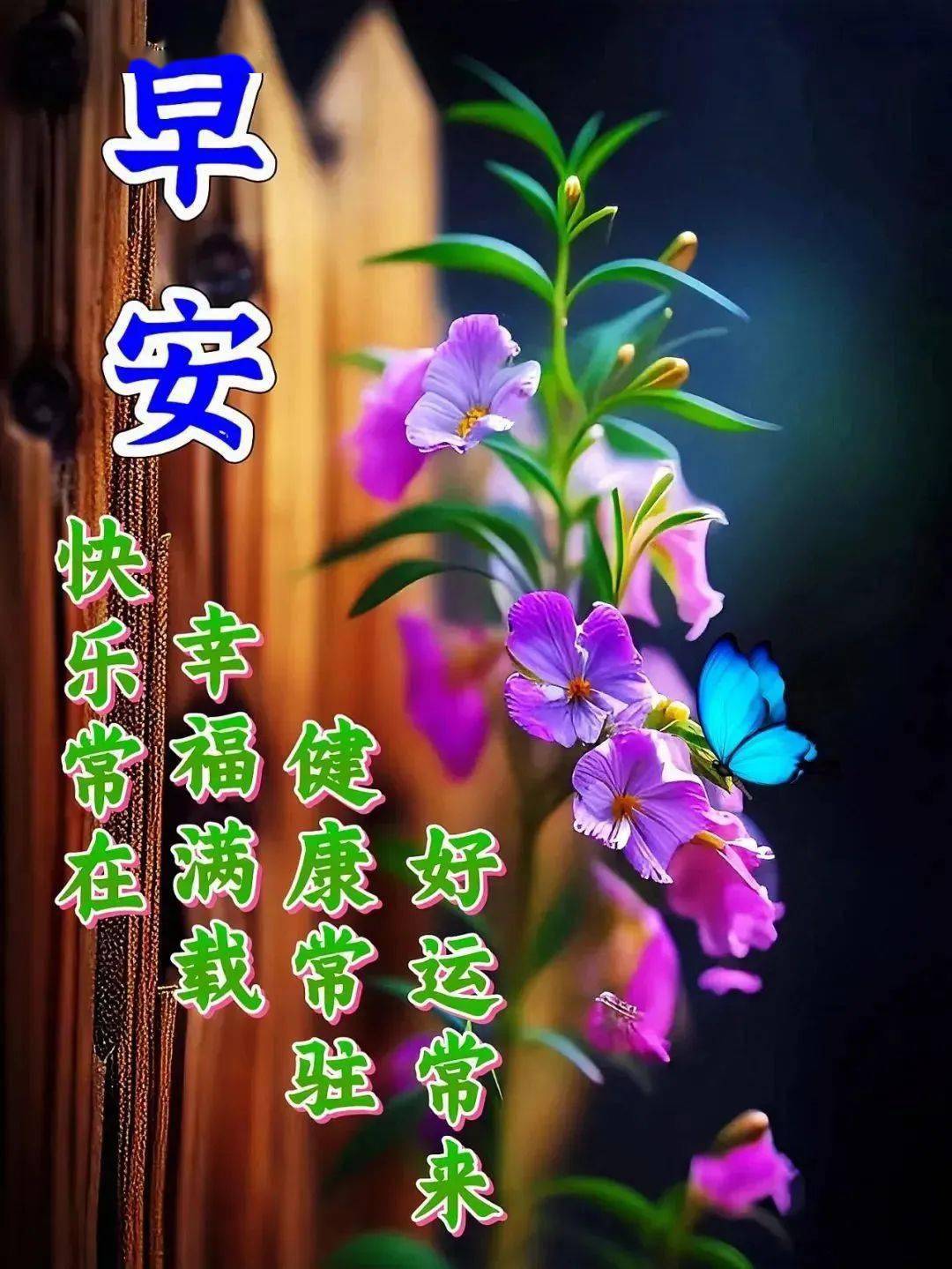 天气热,多喝水,多休息,保重身体!早上好!