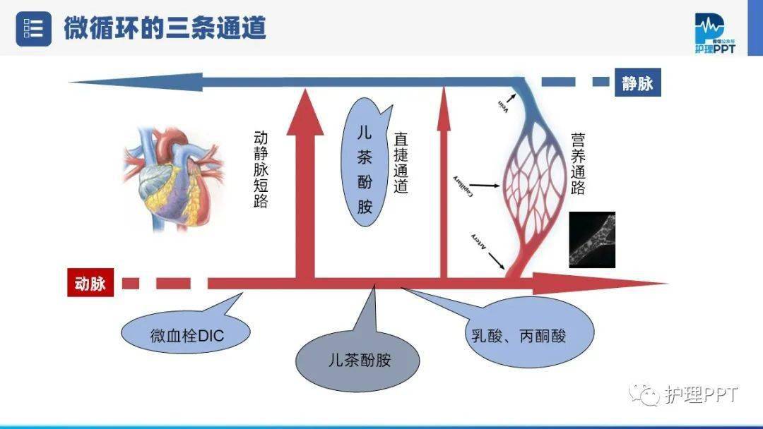 【PPT】低血容量休克护理业务学习_微信_直播_视频