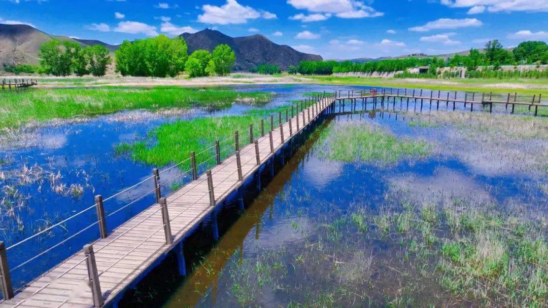 石人湾——草绿水清湿地美 消暑观鸟正当时_市民_湾村_游客