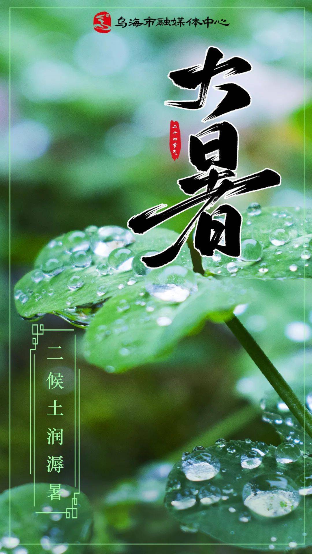 今日大暑_时节_萤火_节气