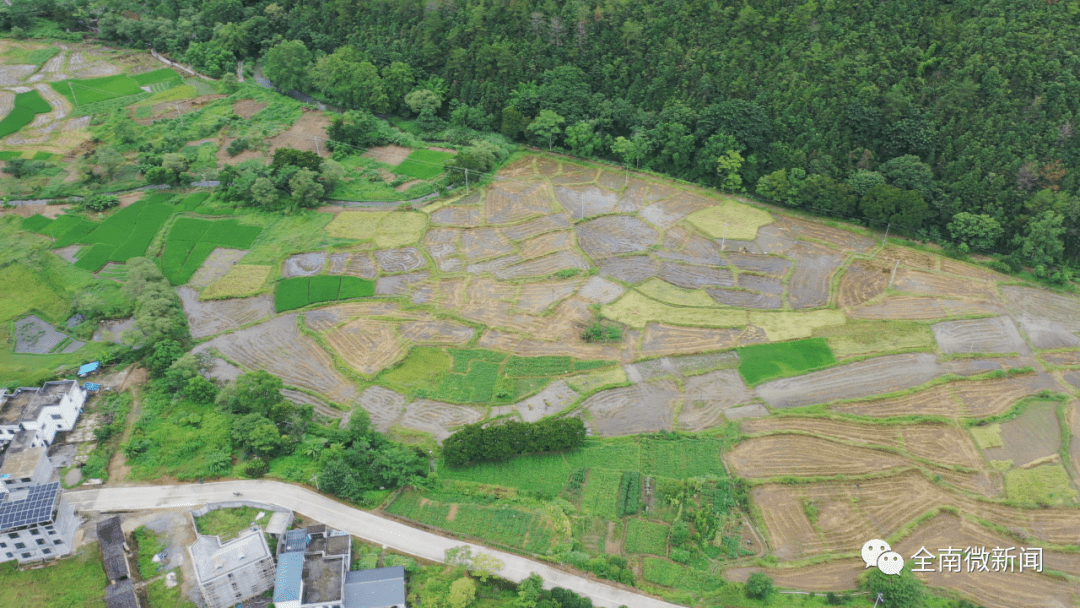 金龙镇:科技奏响农忙"进行曲"_全南县_农业_农机