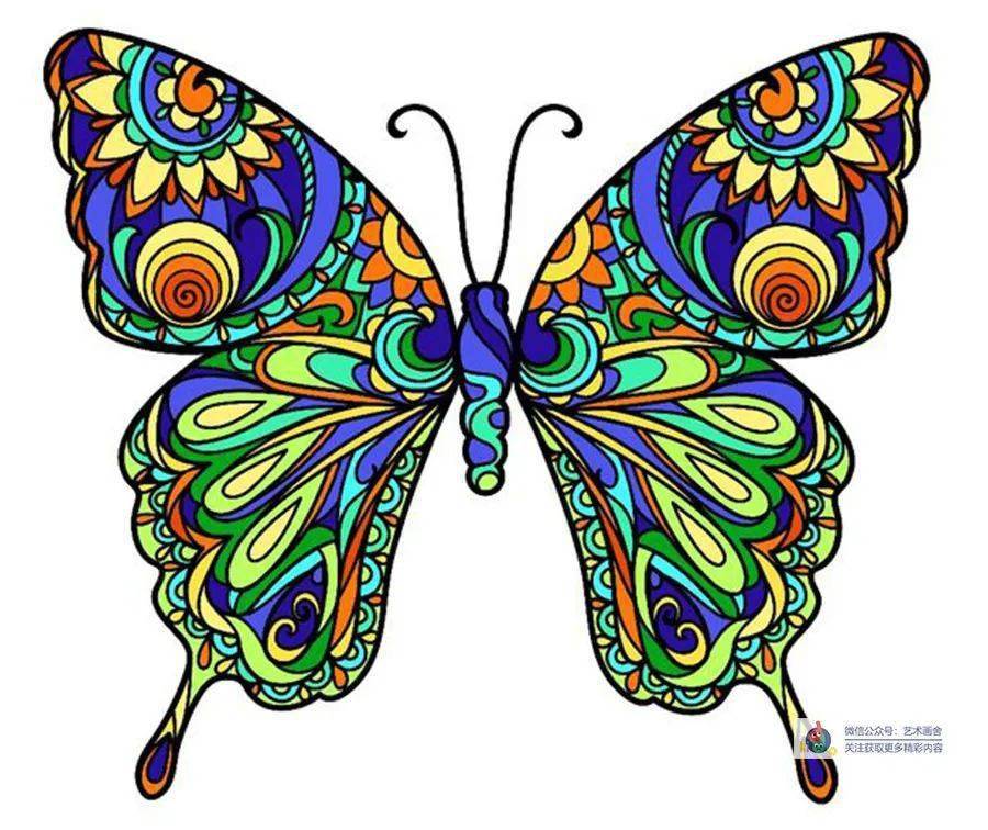 线描画 | 蝴蝶线描不会画?这组素材应该好好收藏!_水彩_知识
