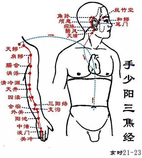 三焦是人体水液的通道