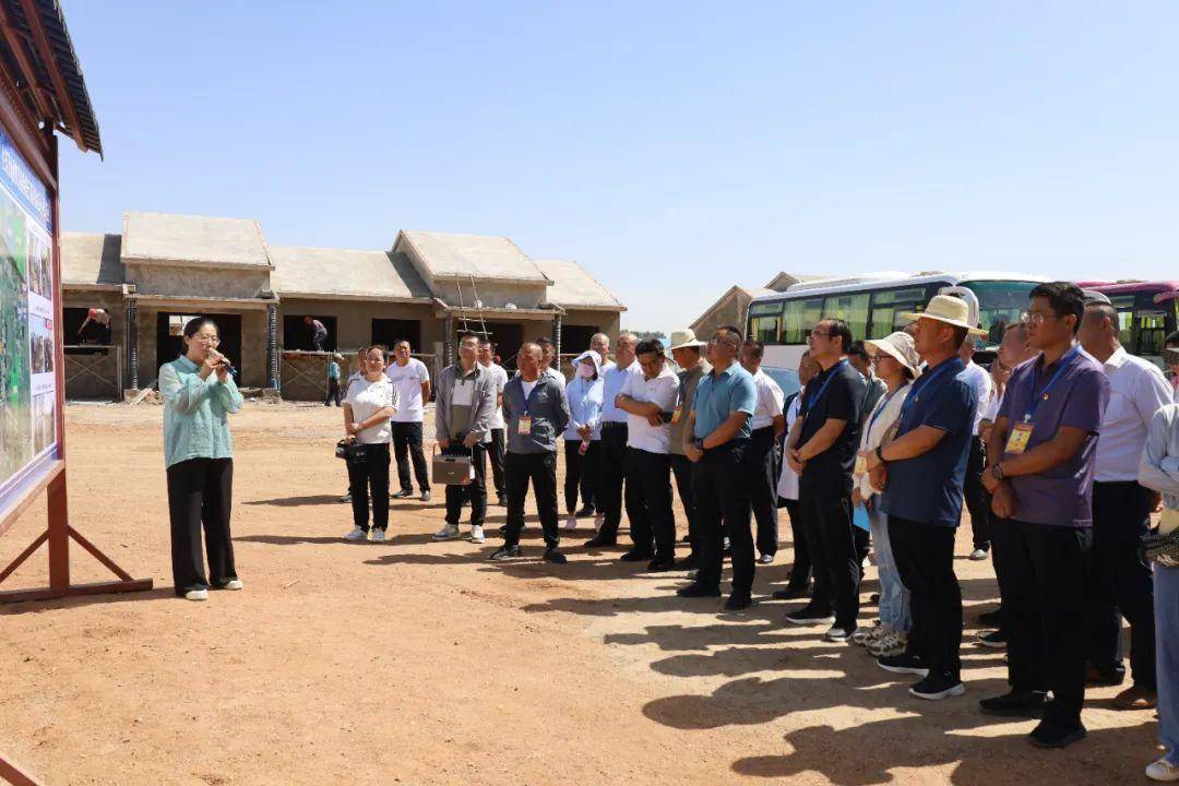 高台县巷道镇:田间地头察实情 履职尽责促发展_工作_全镇_乡村