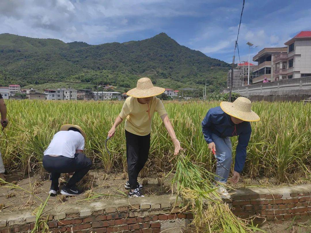 当天,市教育局党员干部还前往安溪梧桐中学调研,详细了解学校办学情况