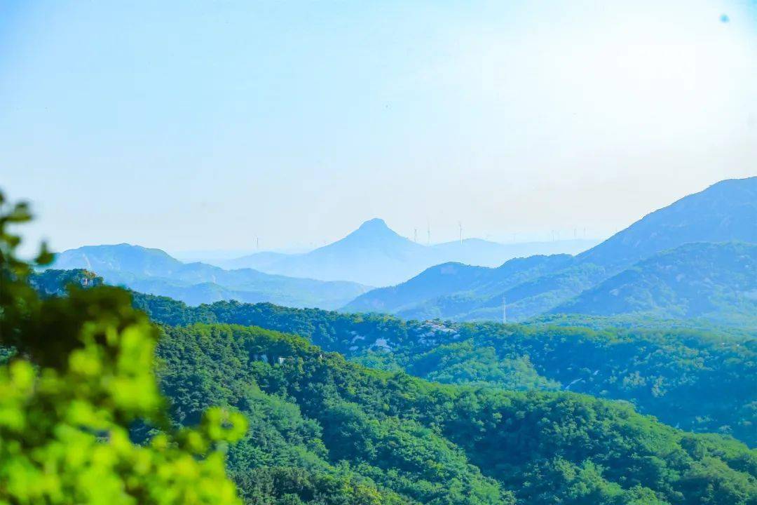 天崮山旅游风景区门票图片