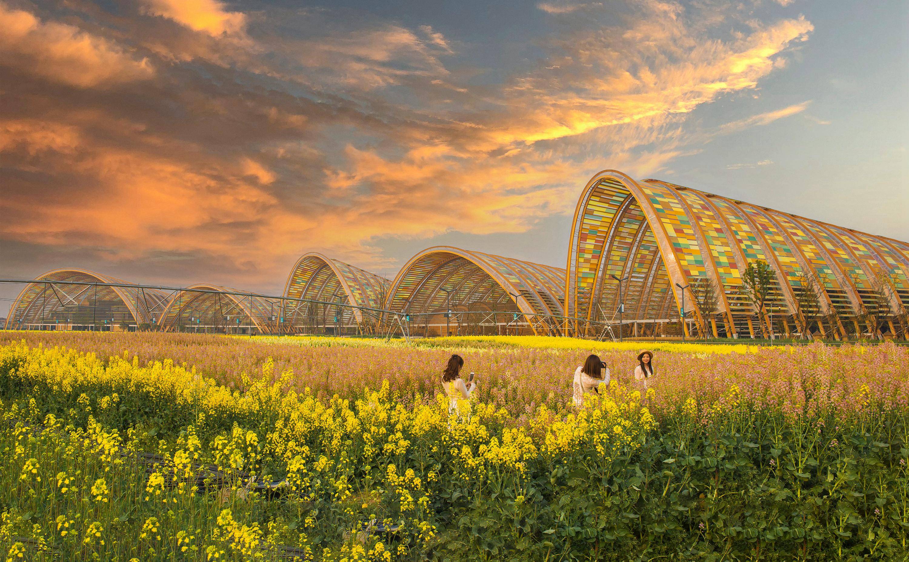 "大运之城"面面观|成都新津区:水上"速度与激情"古今传承_天府_发展