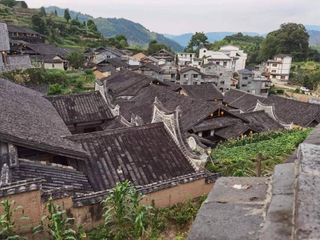 党媒点赞 | 福建南岩村:巾帼志愿服务队让古村落焕发生机_福安市_妇女