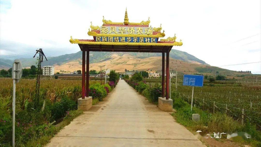 突出作为一个侨乡社区,等12个民族,汉,瑶,白,壮,彝,苗宾川县大营镇华