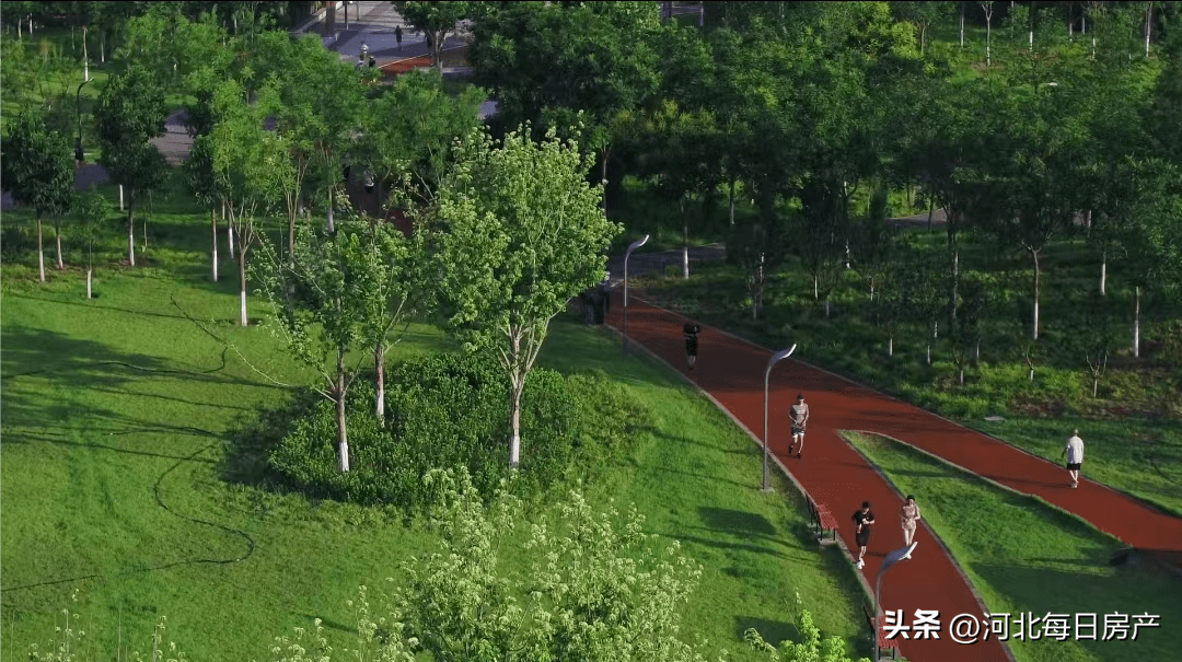 唐山人民公园最新消息图片