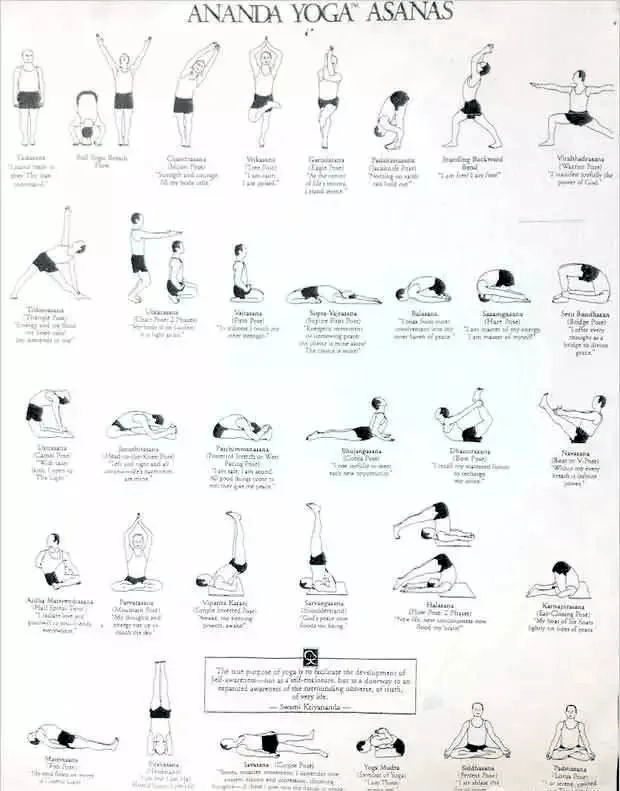 史上最全 13个经典瑜伽流派体式序列图及简介瑜伽人赶紧收藏(图1)
