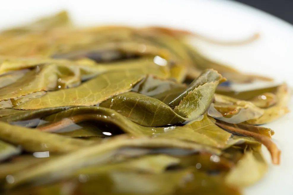 龙润茶道 | 泡茶时,不要轻易翻动普洱茶的叶底_茶叶_滋味_影响