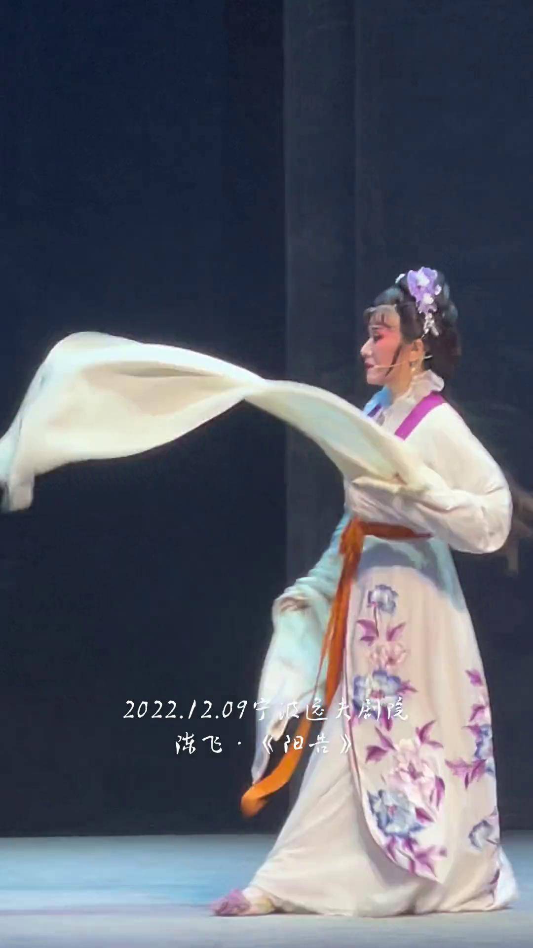 阳告》飞娘娘的水袖掌声不断 20221209宁波逸夫剧团越剧陈飞 绍兴小