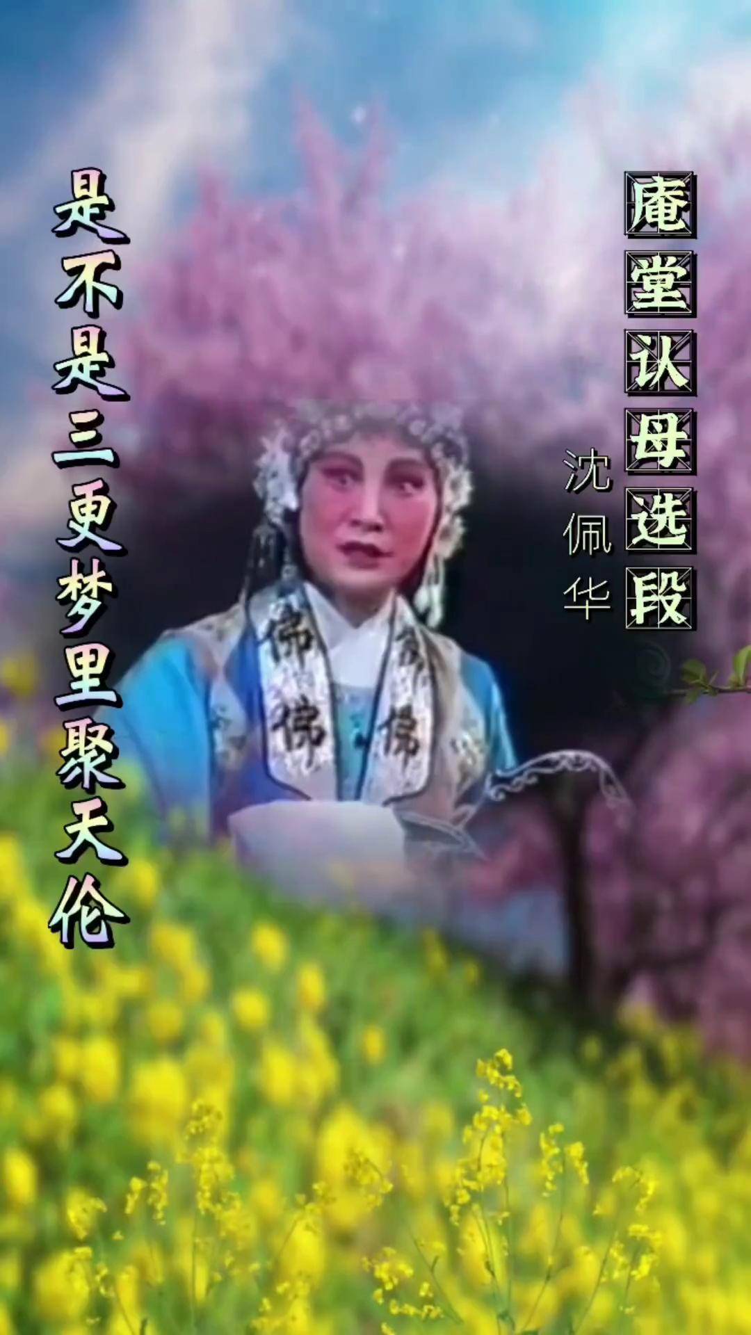 玉蜻蜓电影图片