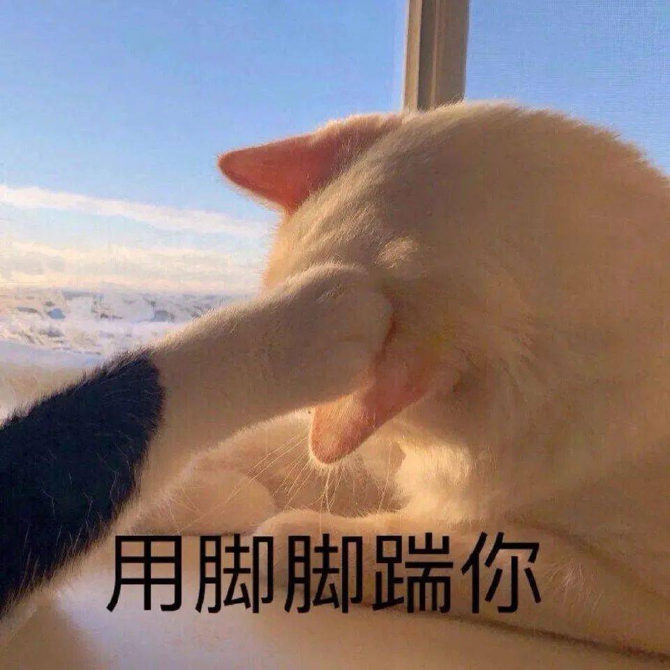 摇脚猫咪表情包图片