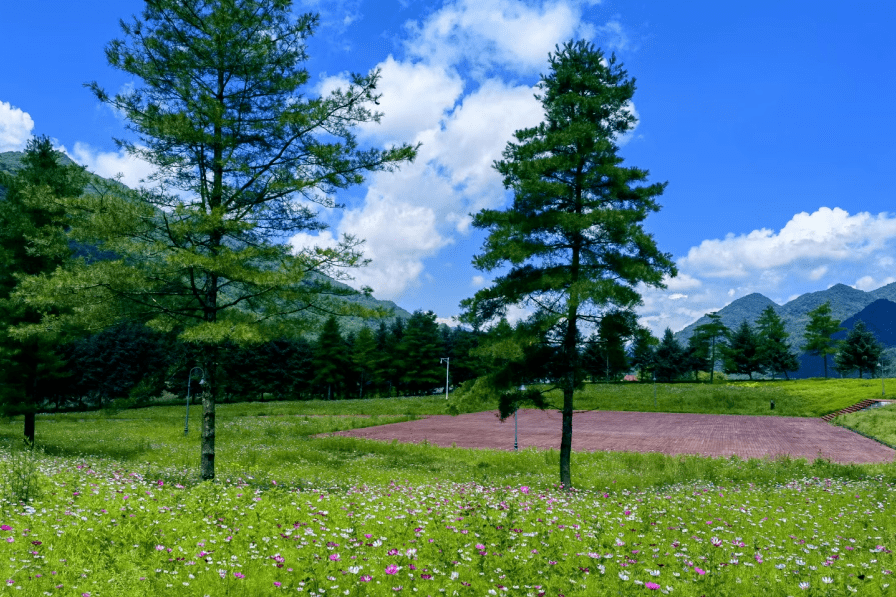 退!一起在重庆发现23℃的夏天吧!_峡谷_景观_景区