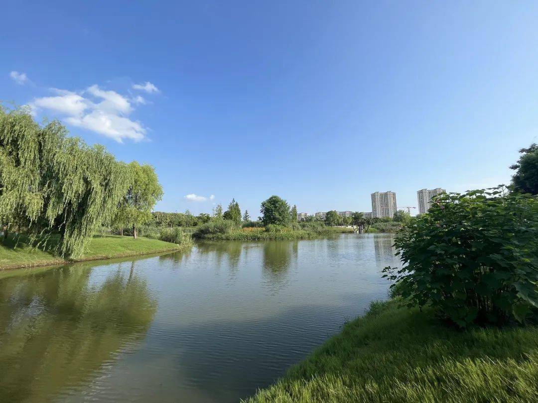 丹阳又有一处便民公园建成啦!占地10公顷!就在._设施_开发区_河道