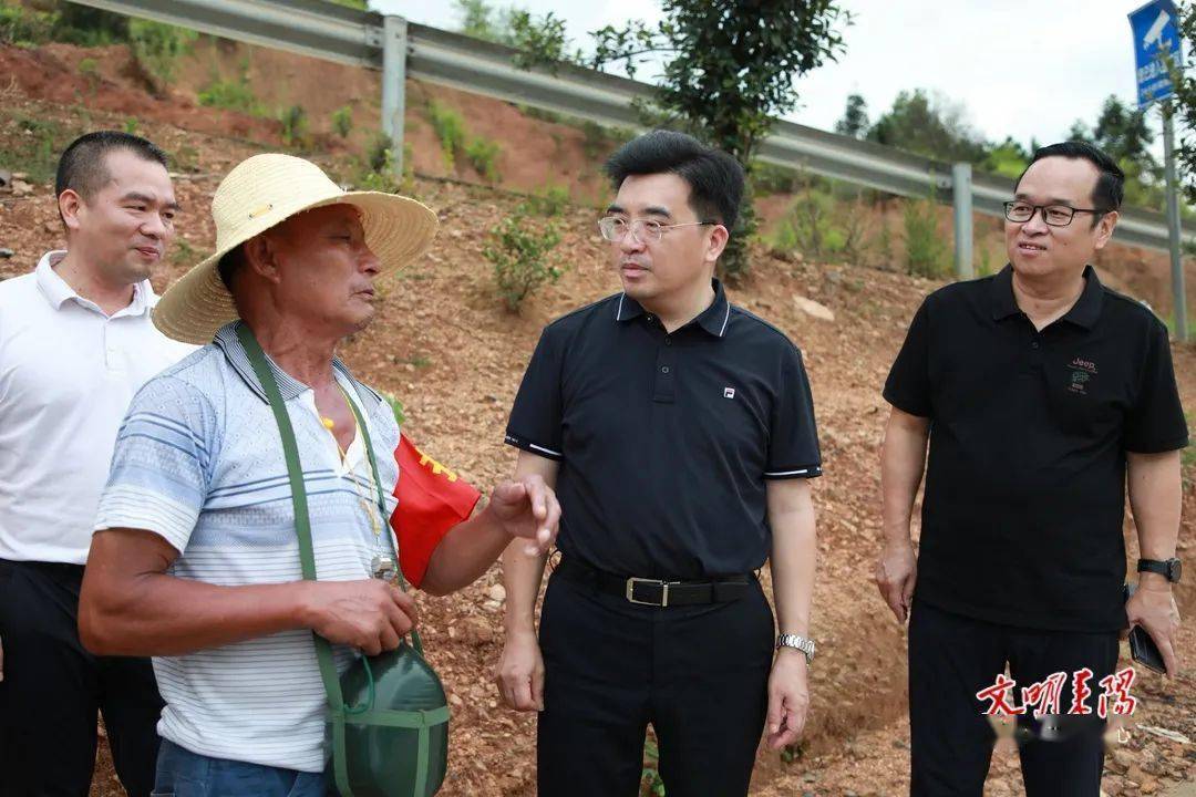 赖馨正到南京镇仁义镇调研农业产业发展,农村人居环境整治等工作