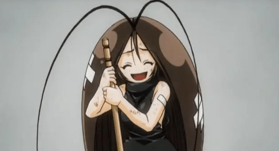 闲谈| 已经踩死的蟑螂,第二天为什么消失了?