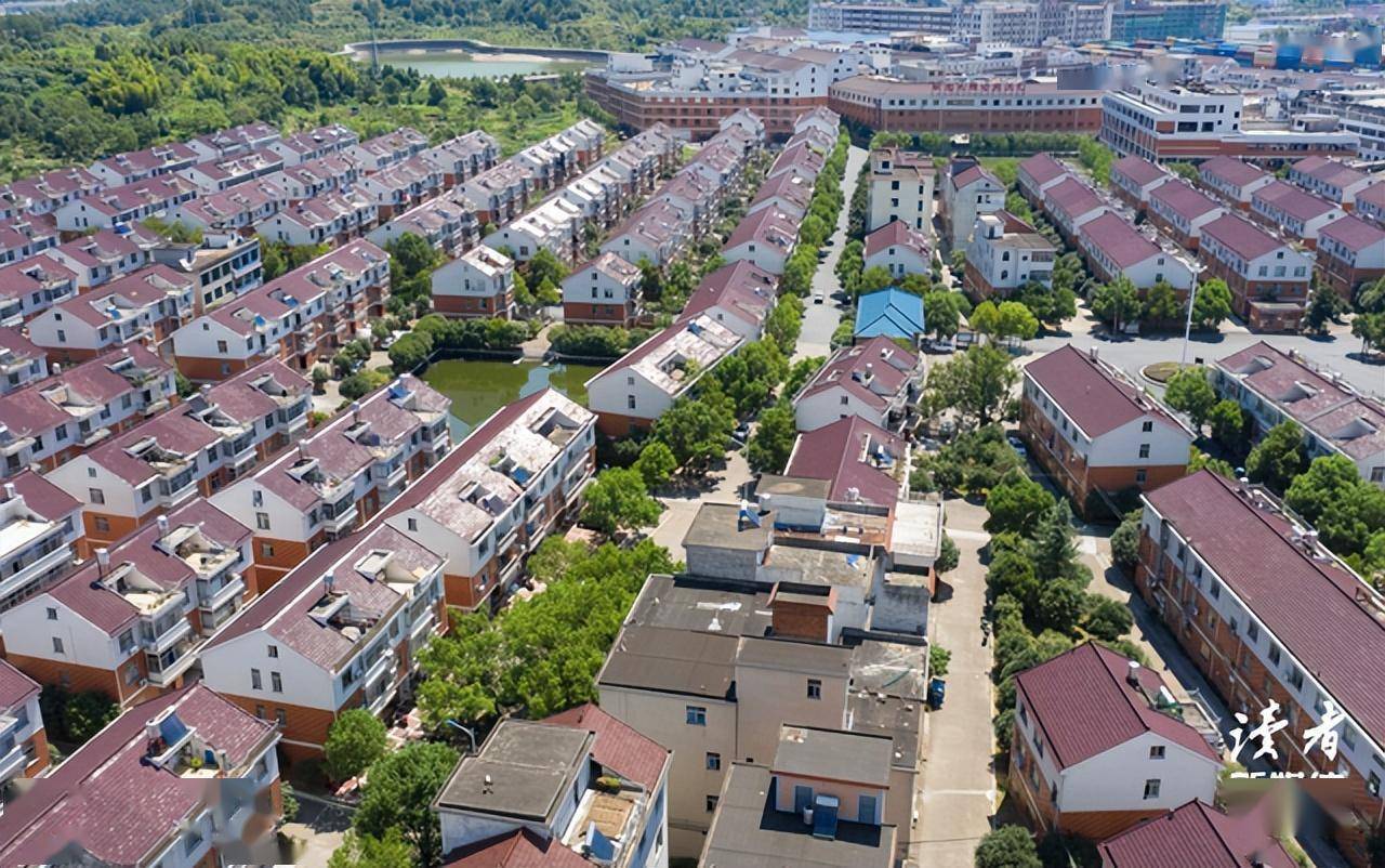 花园村_邵钦祥_发展