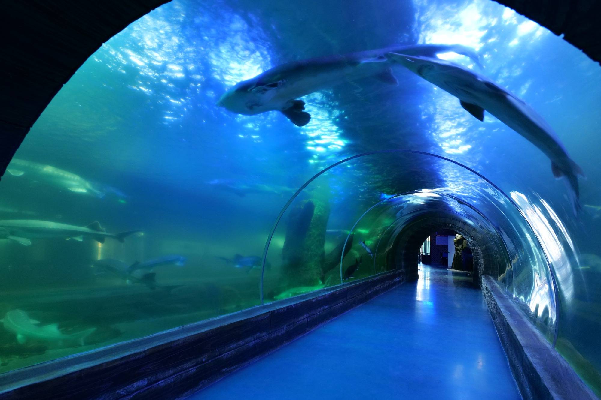 跟着镜头游龙江|佳木斯抚远:华夏东极 太阳故乡_广场_陈雷_鱼市