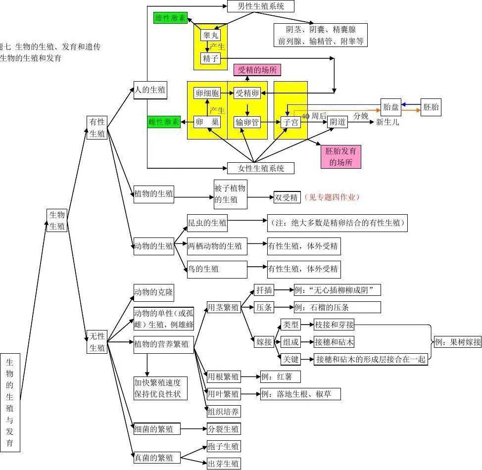 初中生物思维导图（七年级全册）的简单介绍