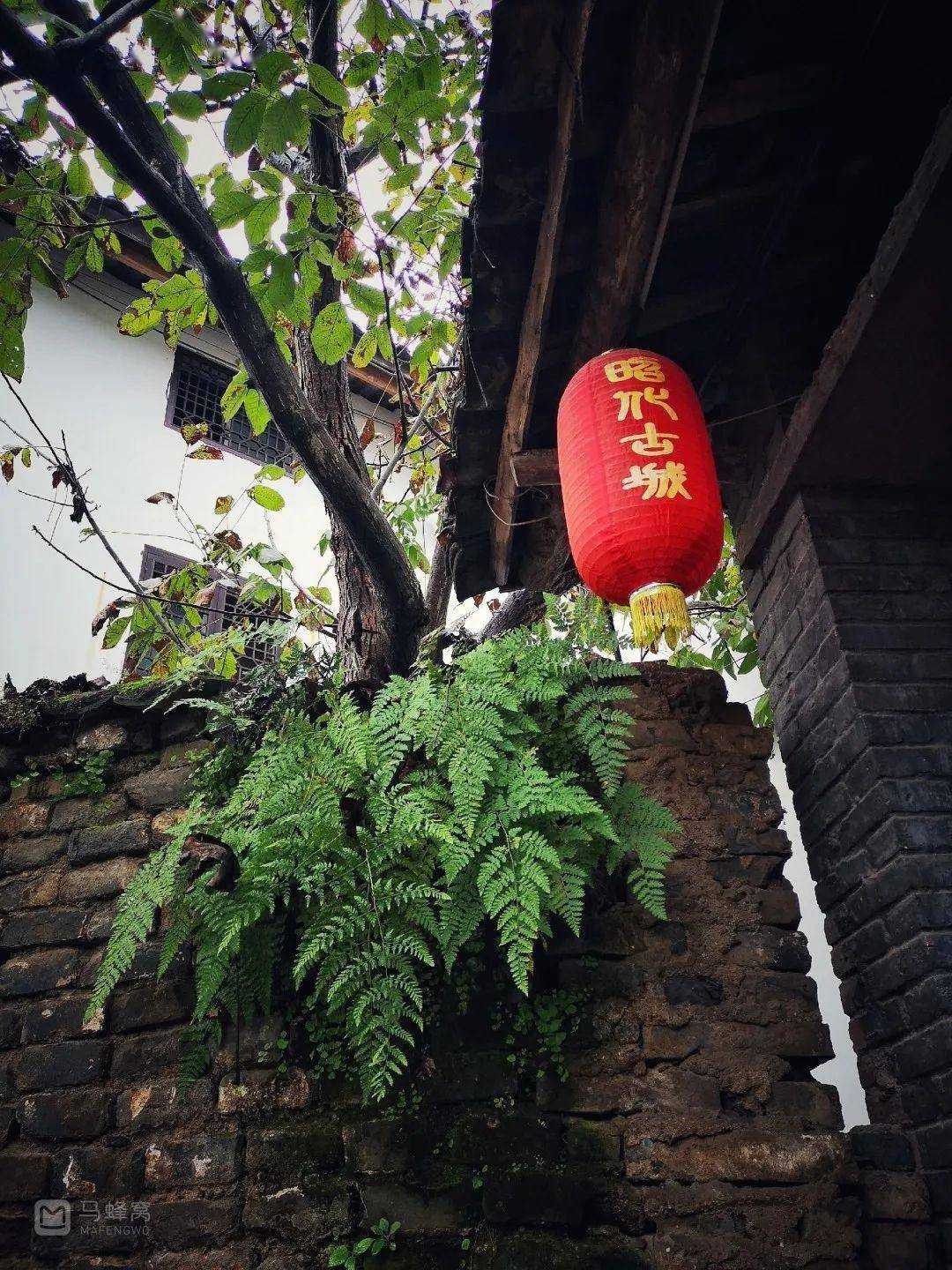 孟夏时节,来昭化古城听一场好雨间奏曲_马蜂窝_历史_青石板路