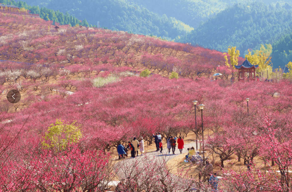 大余梅关风景区图片