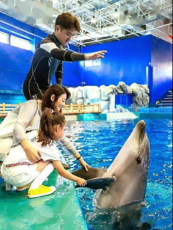 威海神游海洋世界/华夏海洋馆,成人票,随订随用_项目_门票_游客