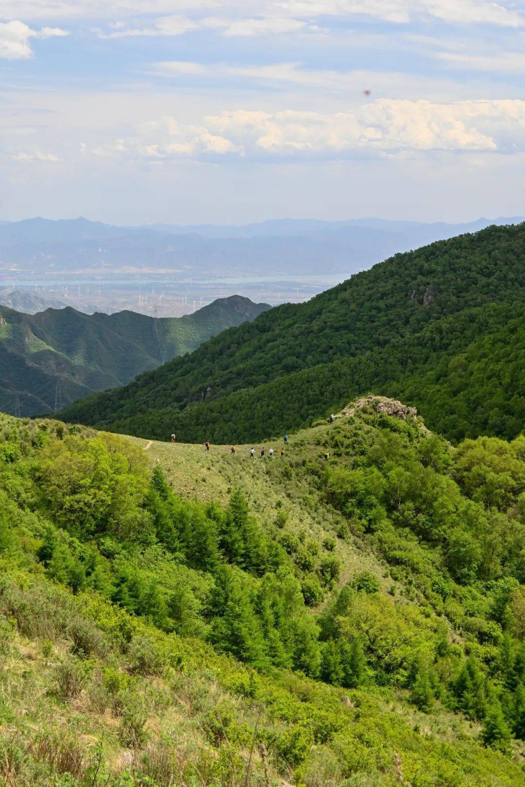 山脊呈东西南向延伸,长5公里,山脊为高山草甸,气候地貌与大小海坨类似
