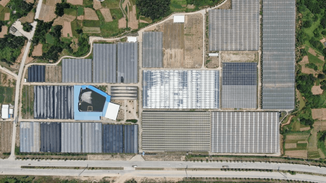 [速看] 惠安县涂寨镇:串线成面,促乡村振兴谱写更靓蓝图_发展_企业