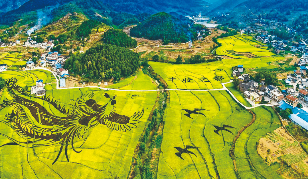 丰都包鸾:唱好乡村建设与乡村治理二重唱_院落_村民_包鸾镇