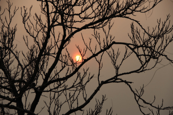 夕陽無限黃昏頌,一寸冰心藏玉弓!版面欣賞編輯:朱陽夏責編:陳泰湧審