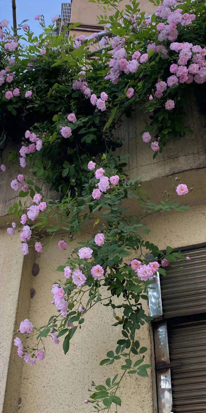 壁纸|宝啊 你的锁屏壁纸该换换啦 676767