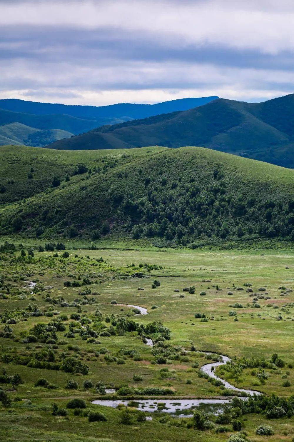 走进罕山_自然保护区_新华社_风光